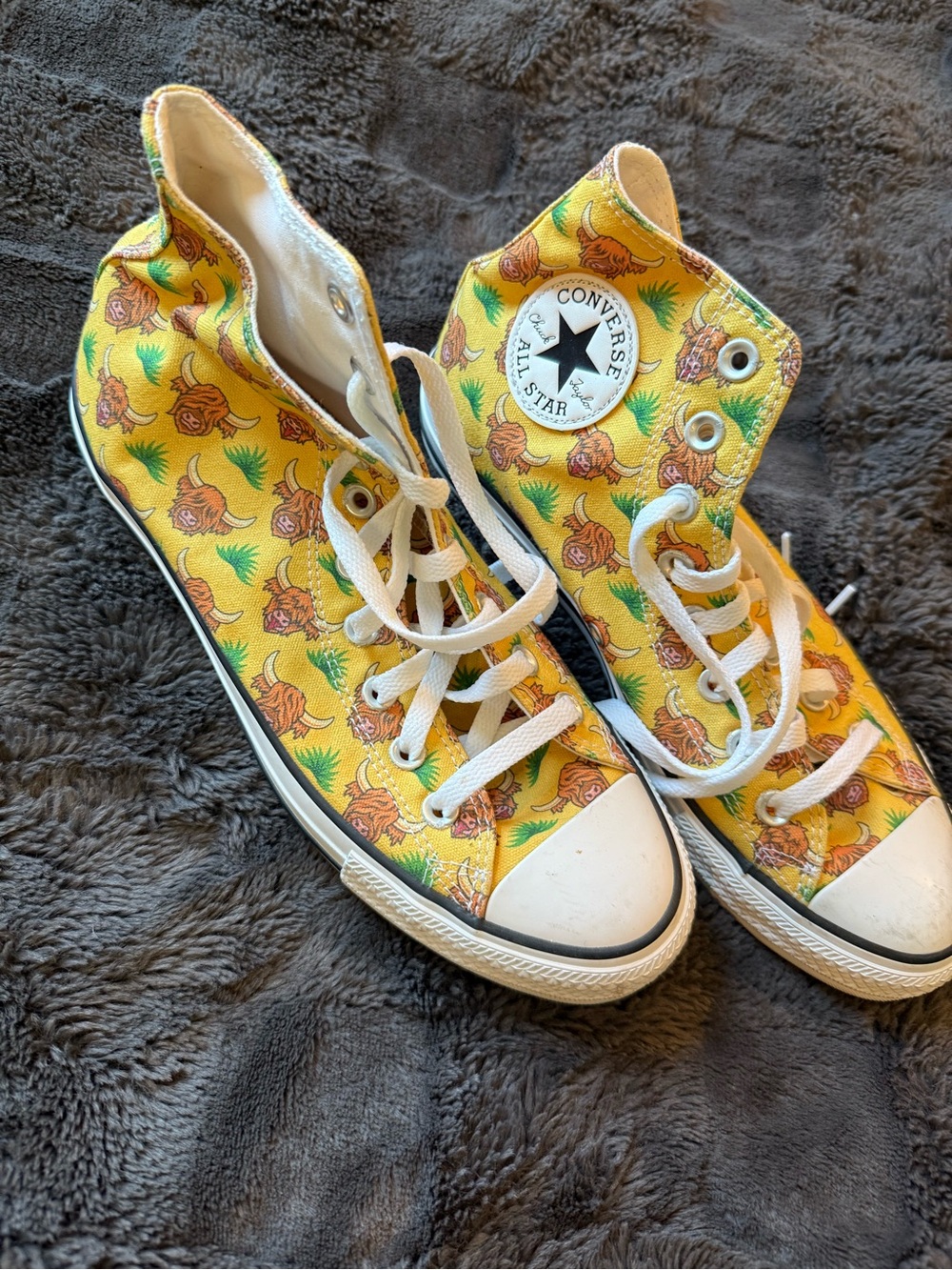 Converse High Top Sneakers in Yellow with Floral and Bull Skull Print